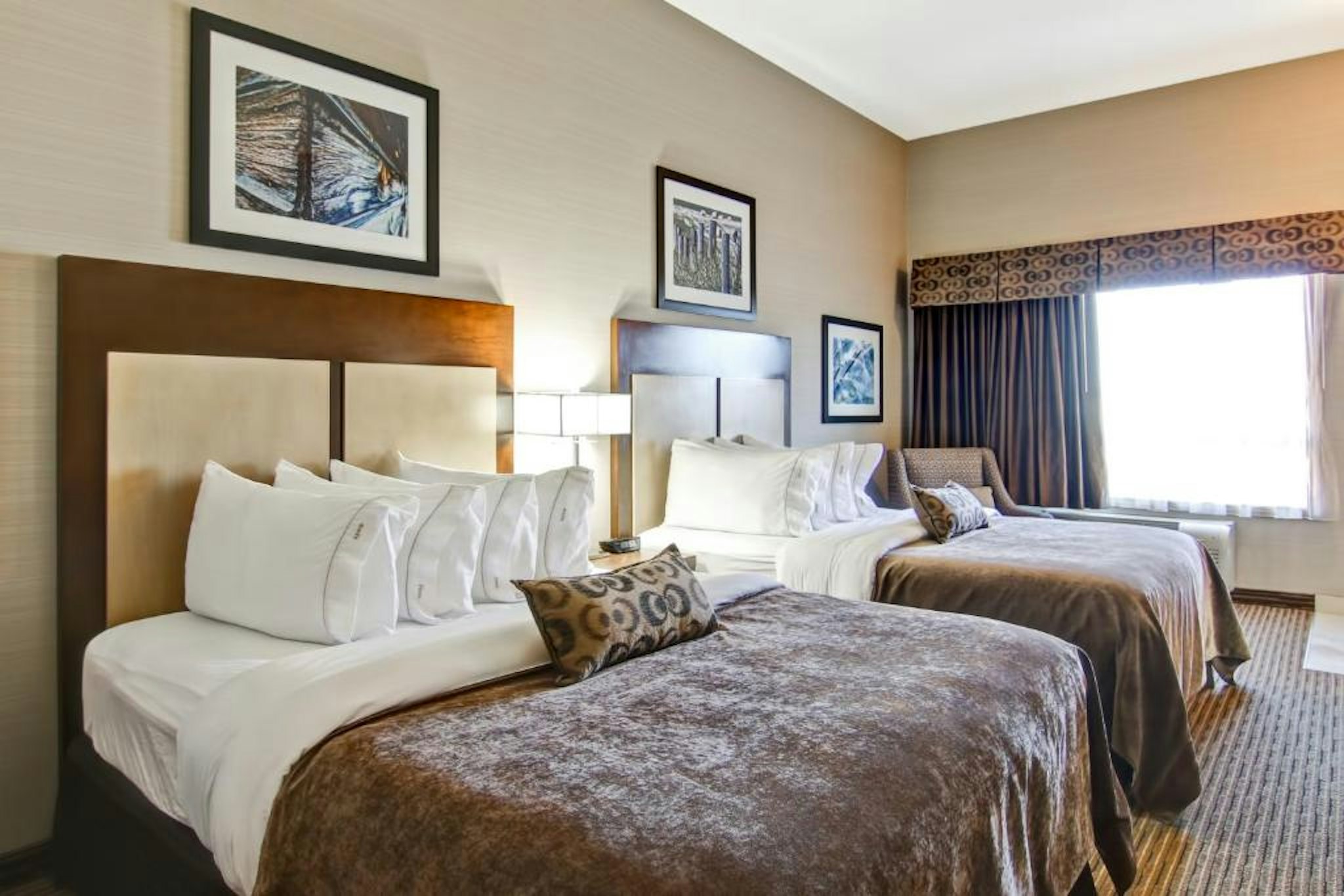 Canalta Hotel Assiniboia 6/35