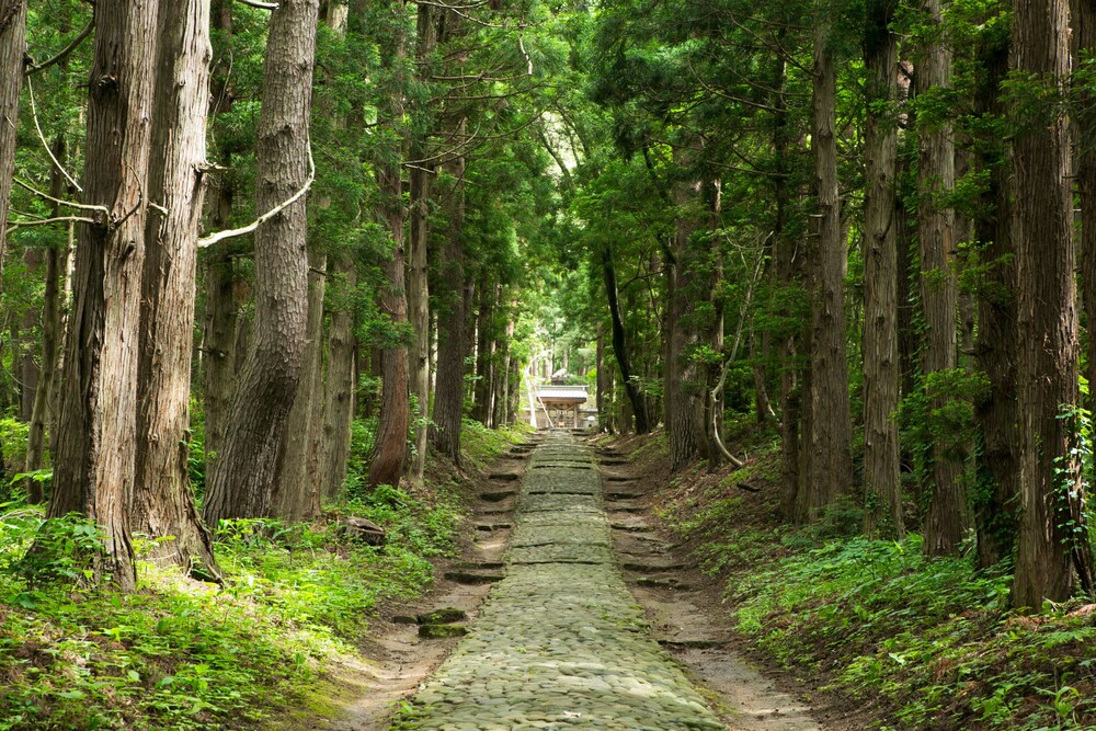 Inawashiro Shikinosato 93/100