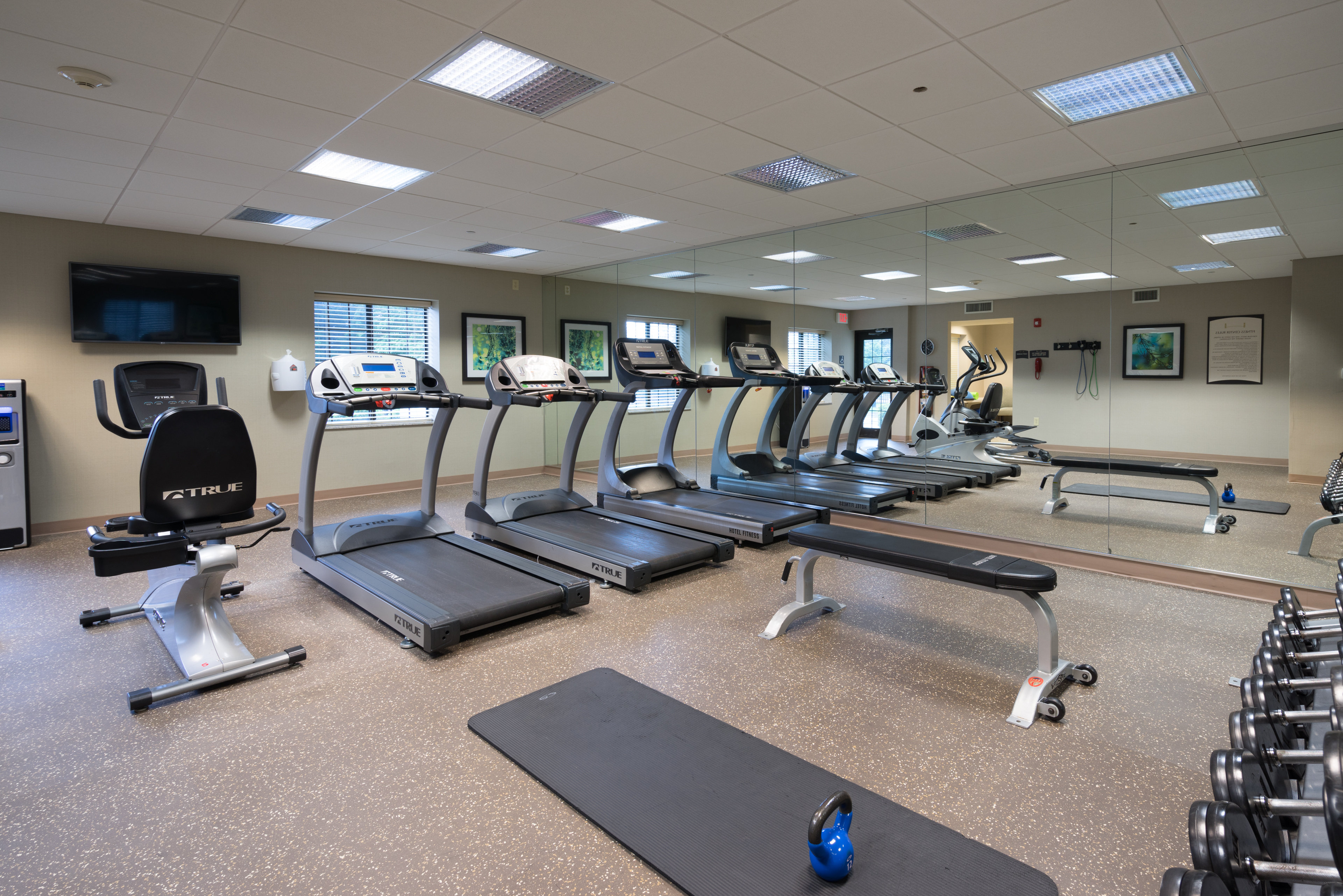 Staybridge Suites Wilmington - Brandywine Valley 22/55