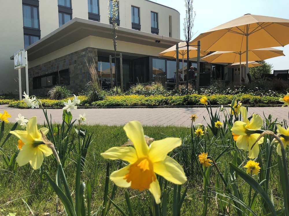 Hotel Susato 24/27