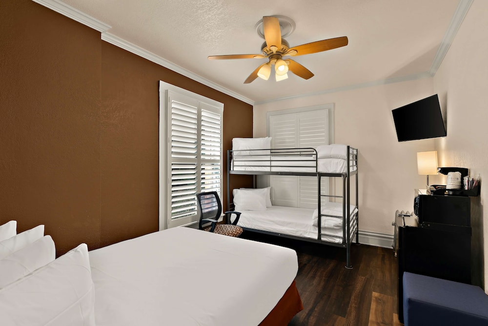 STANDARD, MULTIPLE BEDS