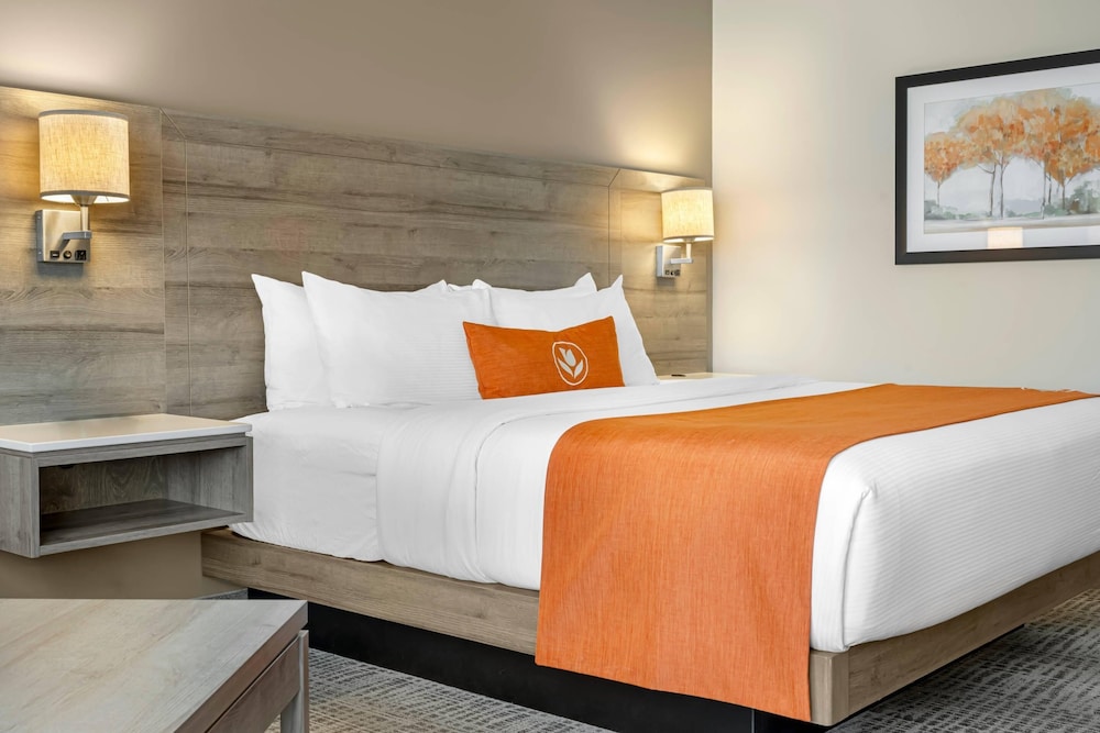 غرفة قياسية بسرير كينج، Amsterdam Inn & Suites Florenceville-Bristol, an Ascend Collection Hotel 5/7