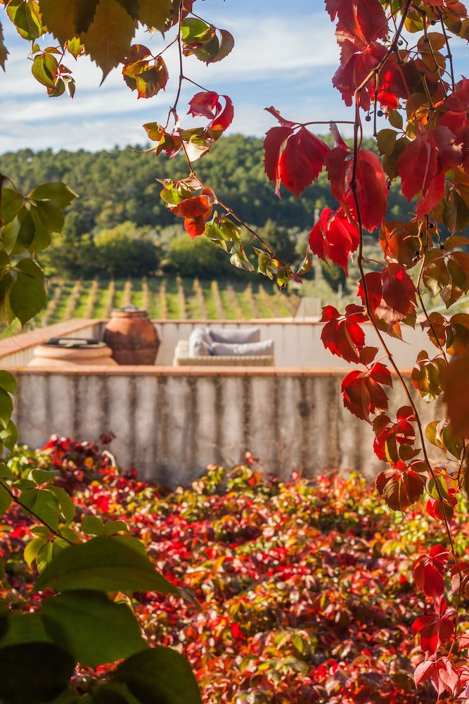 Podere Castellare 43/50