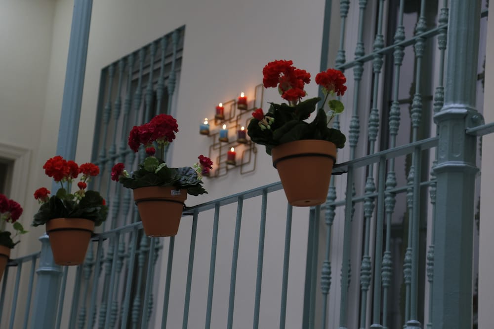 Hostal Jardin De La Alameda 38/50