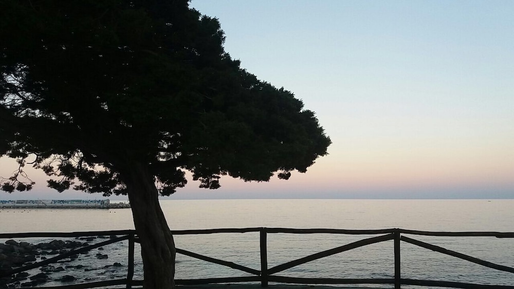 Il Nuovo Gabbiano 68/77