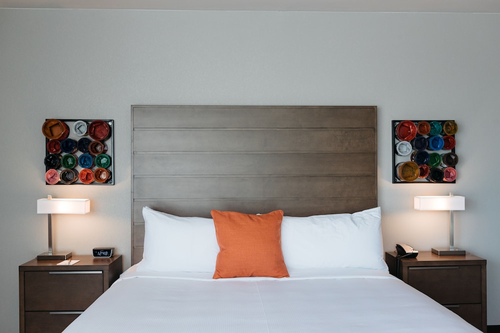 Revel Hotel Des Moines Urbandale, Tapestry Collection by Hilton 19/63