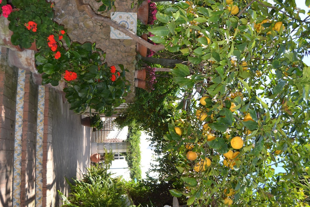 Hotel Tirreno Residence 13/50