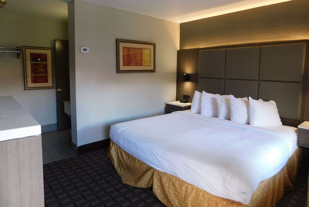 LOFT, SUITE, MULTIPLE BEDS