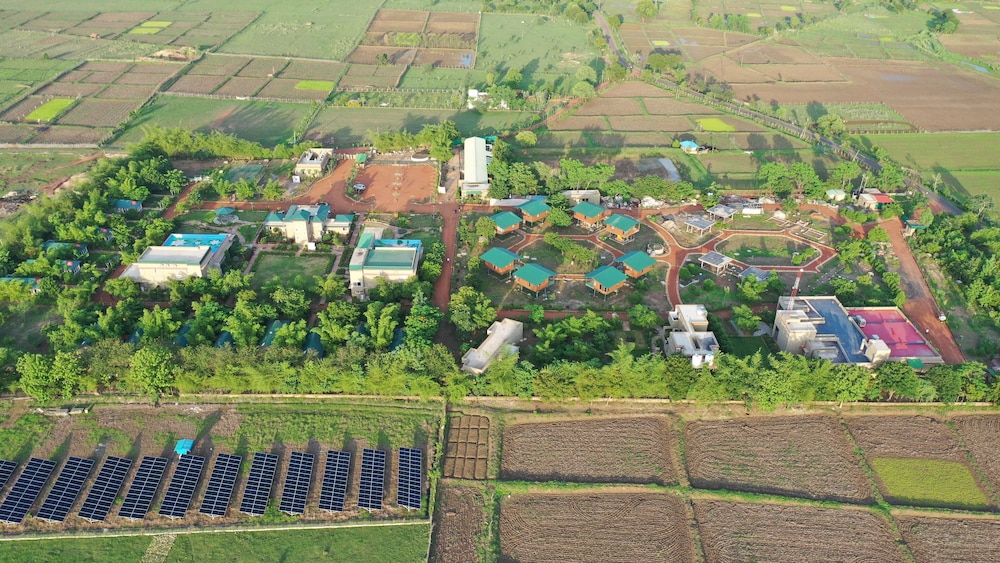 Tathastu Tadoba 39/47