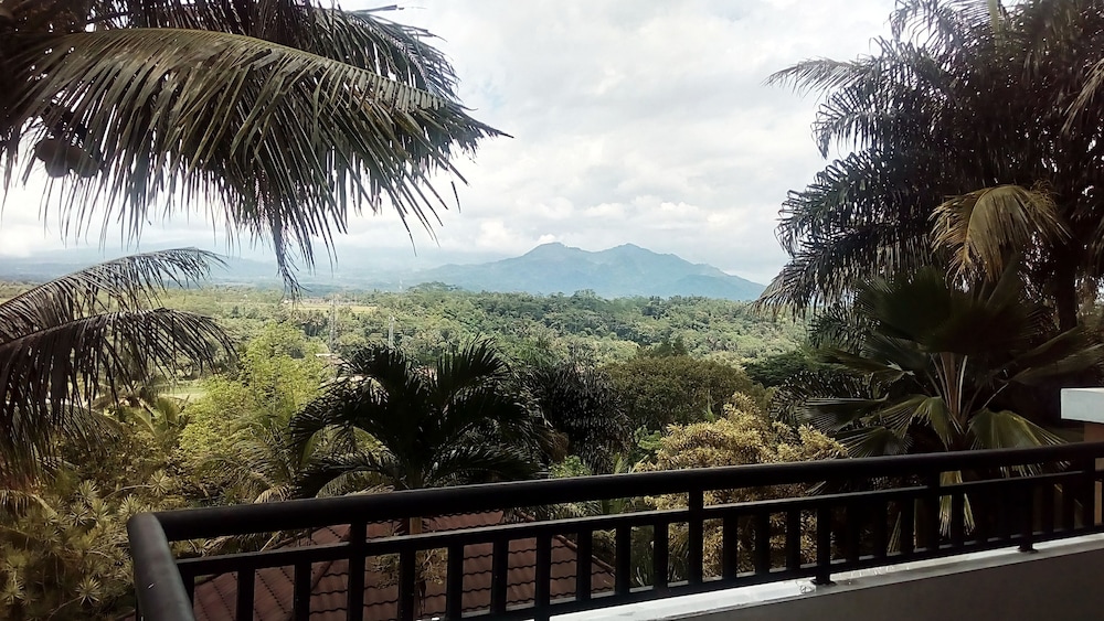 The Oxalis Regency Hotel Magelang 42/46