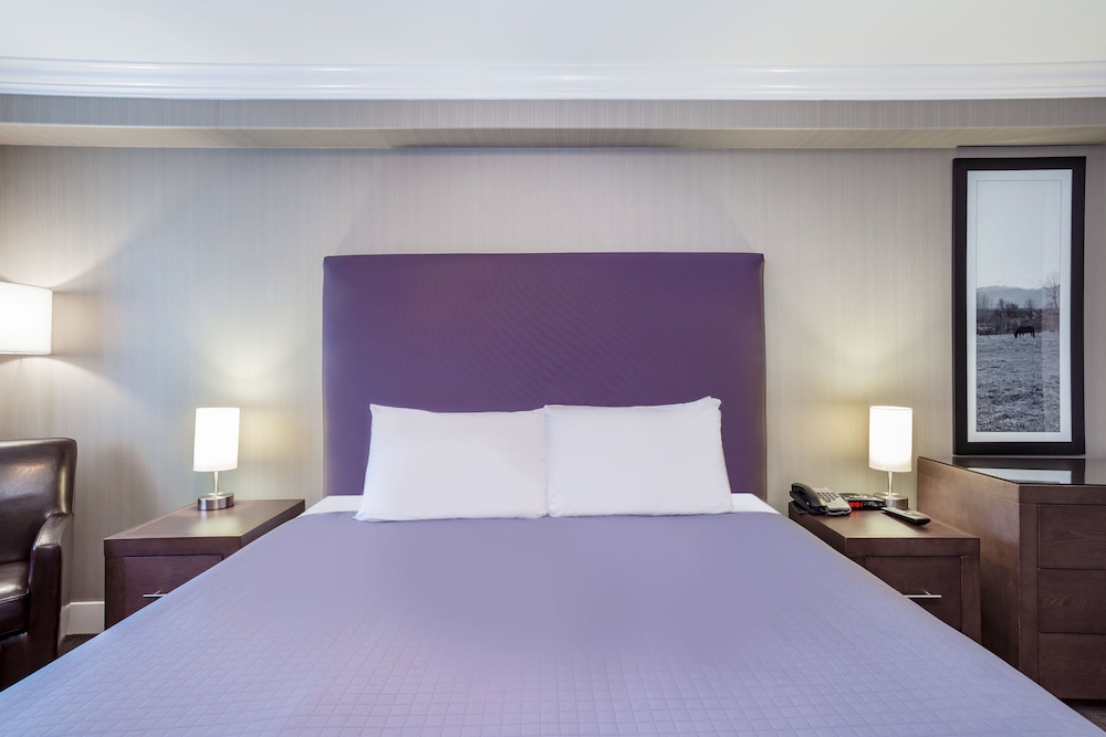 Sandman Hotel & Suites Abbotsford 8/36