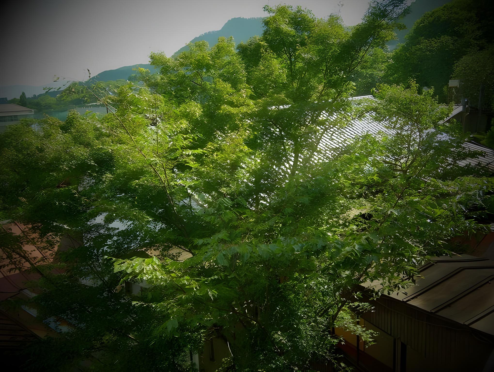 Yamanogami Onsen 16/17