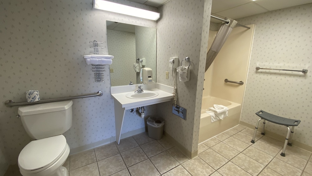 Econo Lodge Branson Theater District 32/40