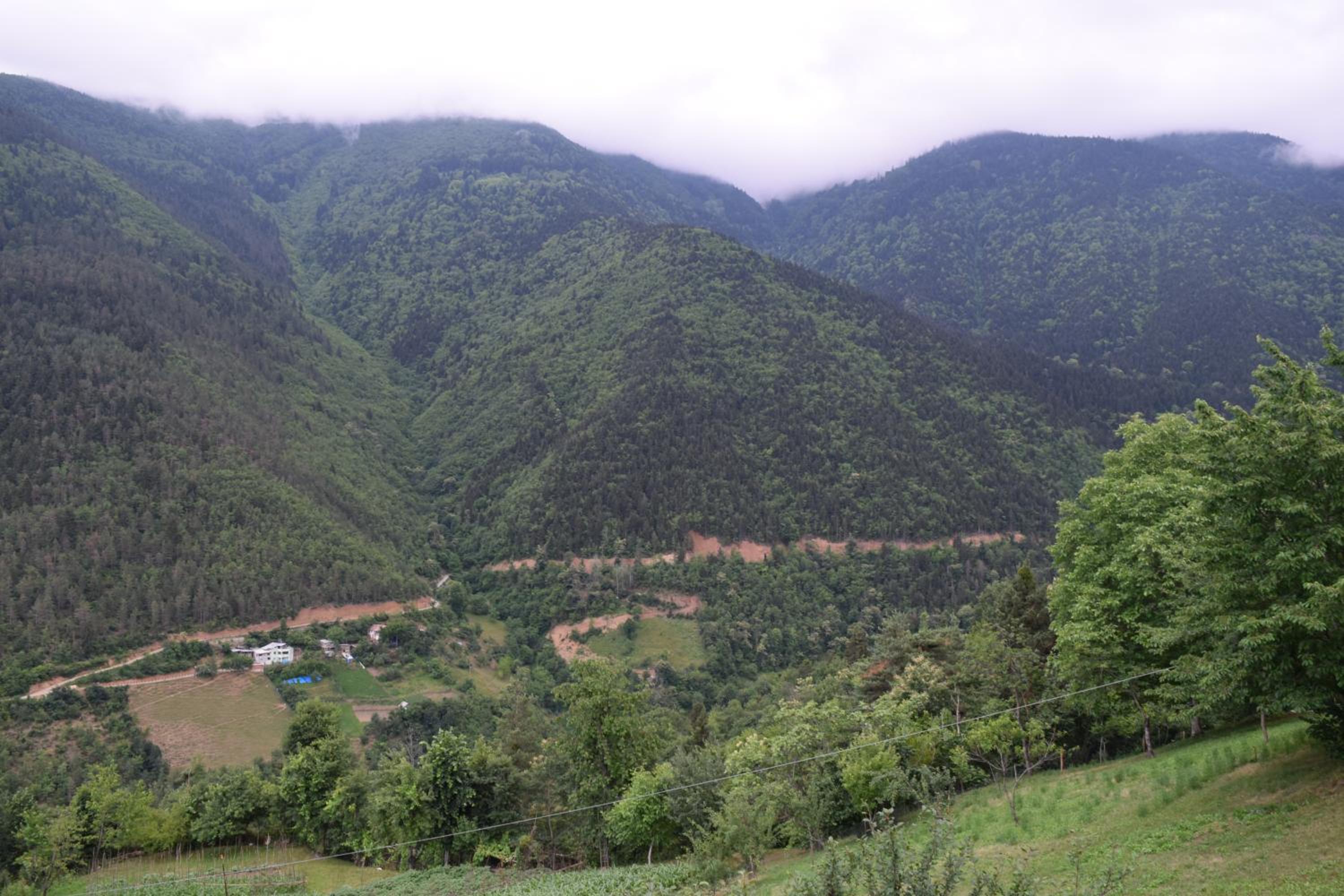 Mars Otel Artvin 37/50