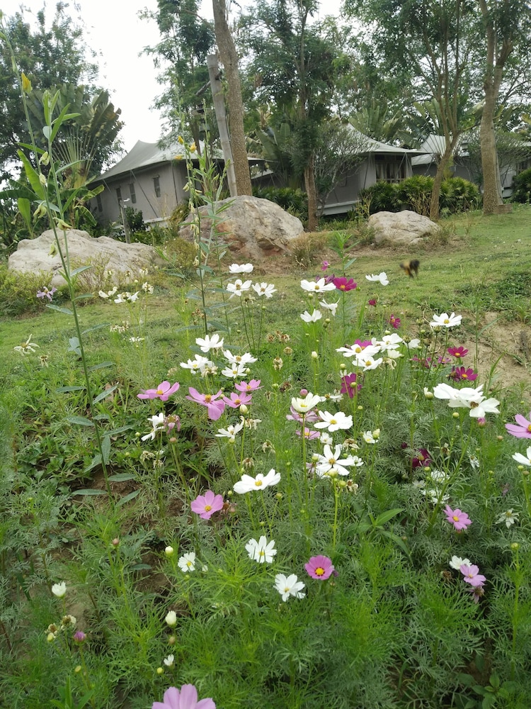 Pai Vimaan Resort 42/50