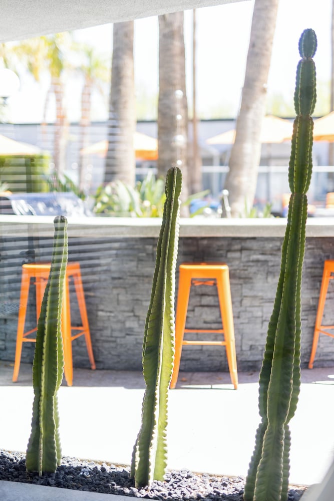 The Palm Springs Hotel 35/53