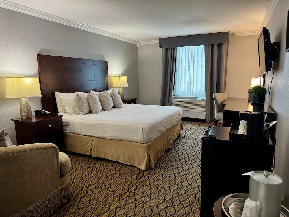 1 Bedroom, Junior, Studio, King Bed