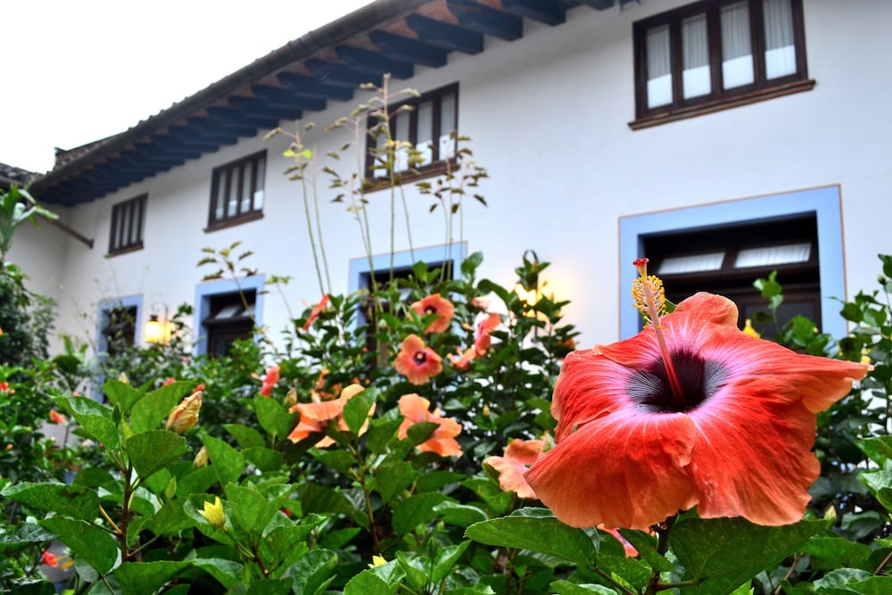 Meson del Alferez Coatepec 61/61