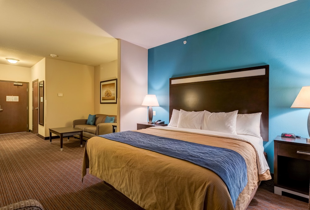 Suite, King Bed, Sofa