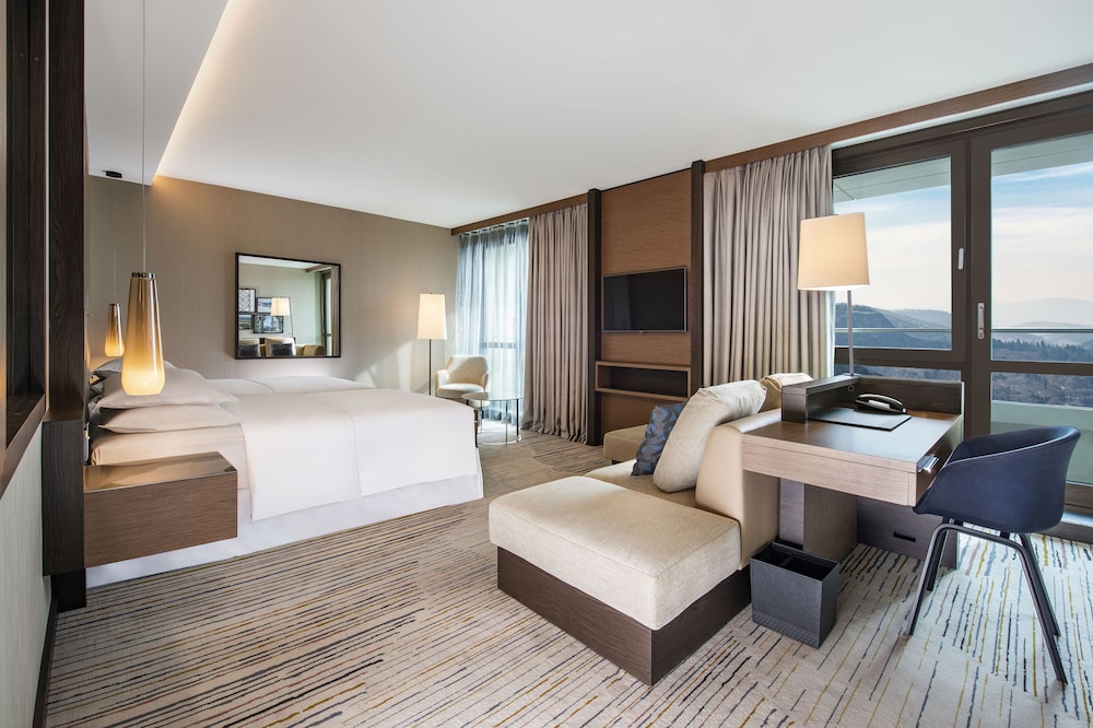 Sheraton Grand Tbilisi Metechi Palace 28/88