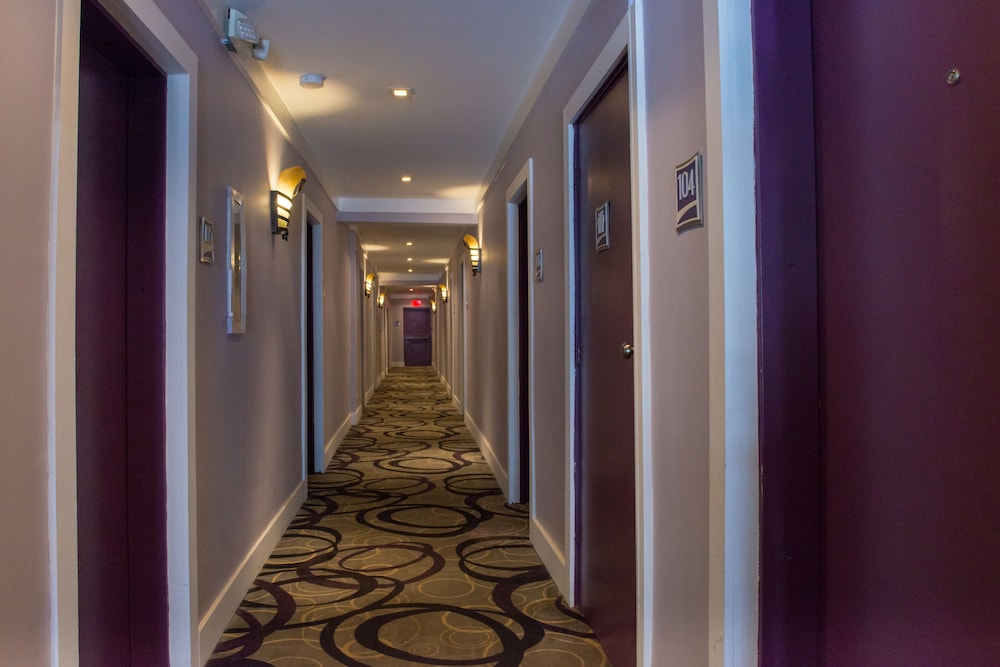 HOTEL SHELLEY in MIAMI BEACH - FL