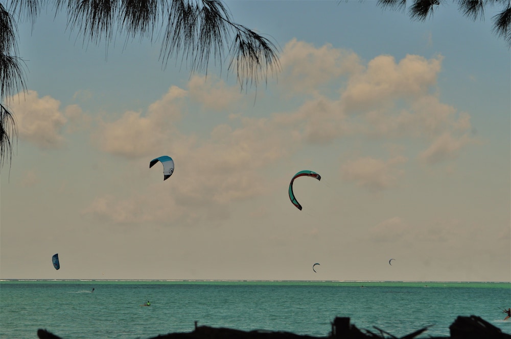 Zanzibar Dream Lodge 46/50