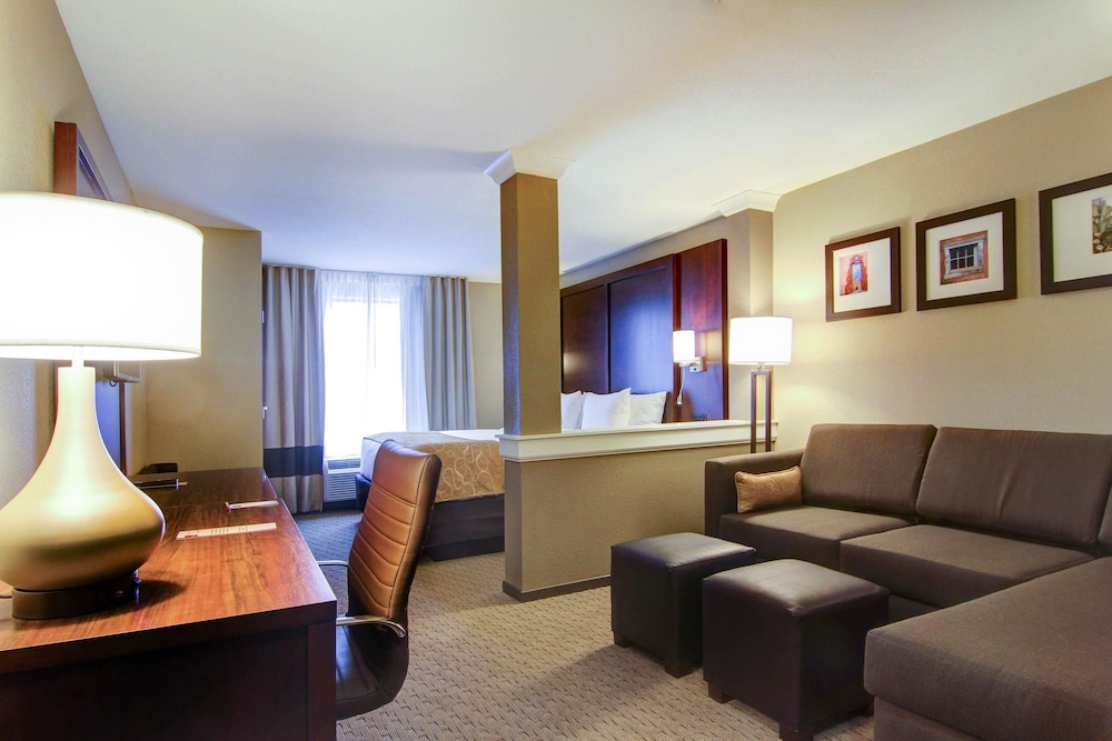Comfort Suites Carlsbad 25/48