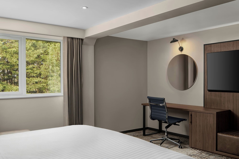Delta Hotels by Marriott Colchester 17/62
