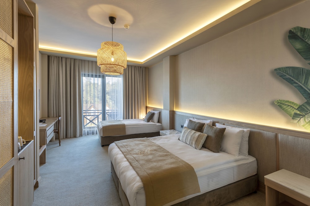 Hancioglu Camburnu Orman Evleri & Hotel 16/50