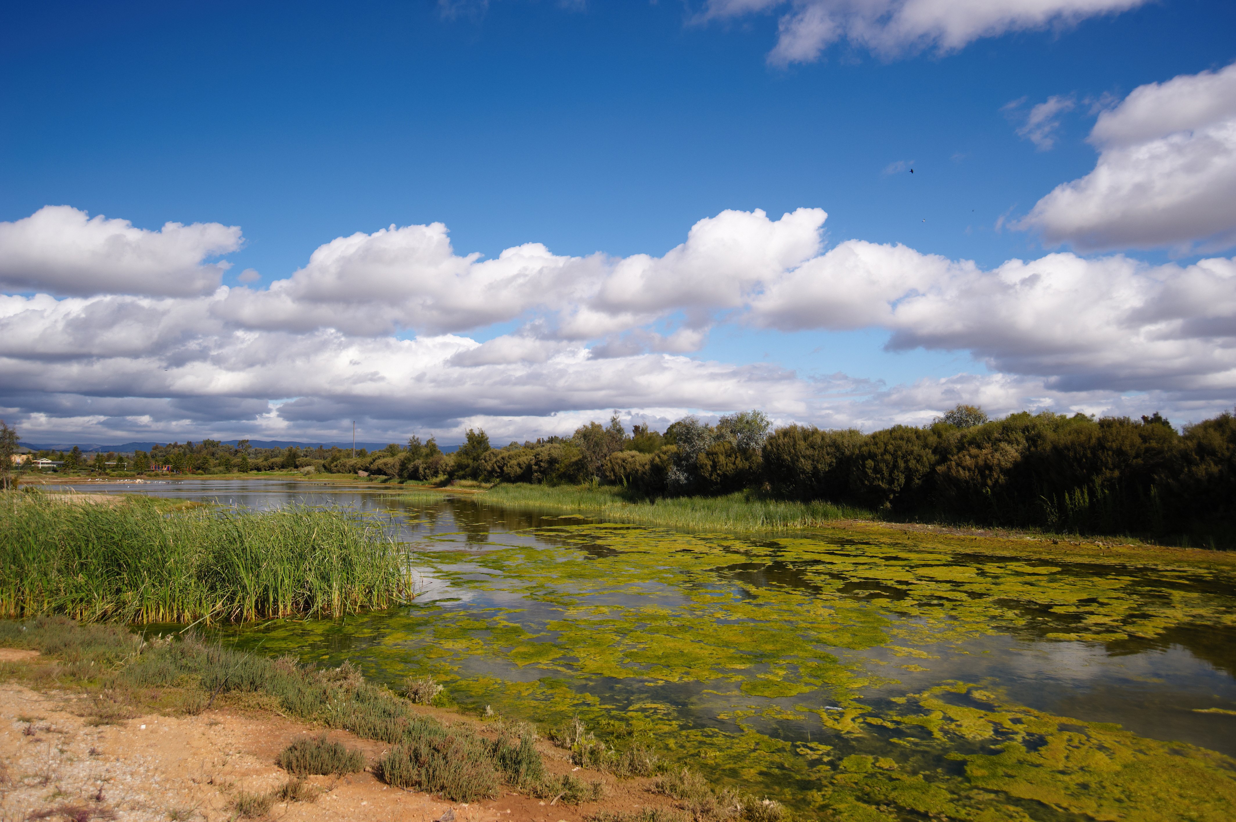 Quest Mawson Lakes 68/78