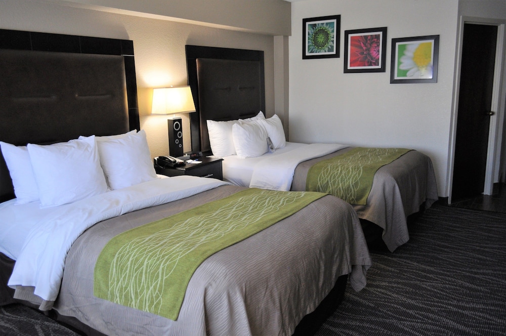 Comfort Inn Downtown Charleston 14/35