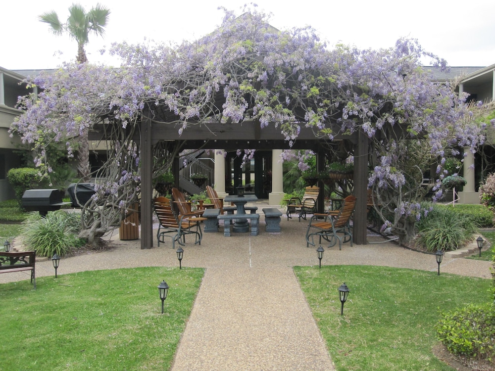 Vineyard Court Designer Suites Hotel 52/56