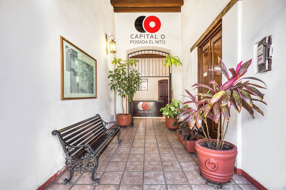 Capital O El Nito Posada 17/20