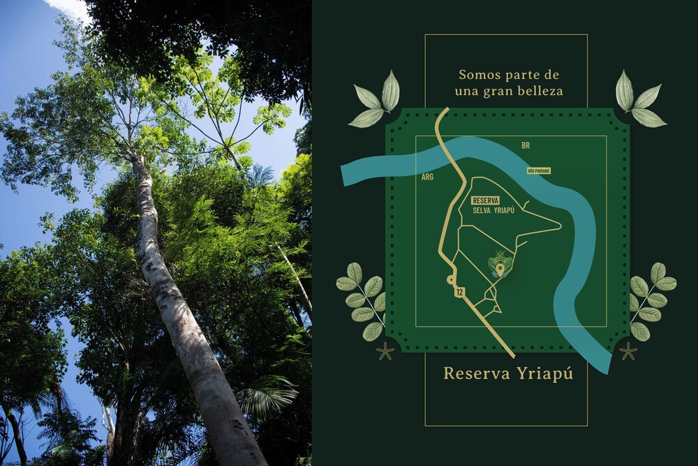 Yvy de Selva Hotel 28/51