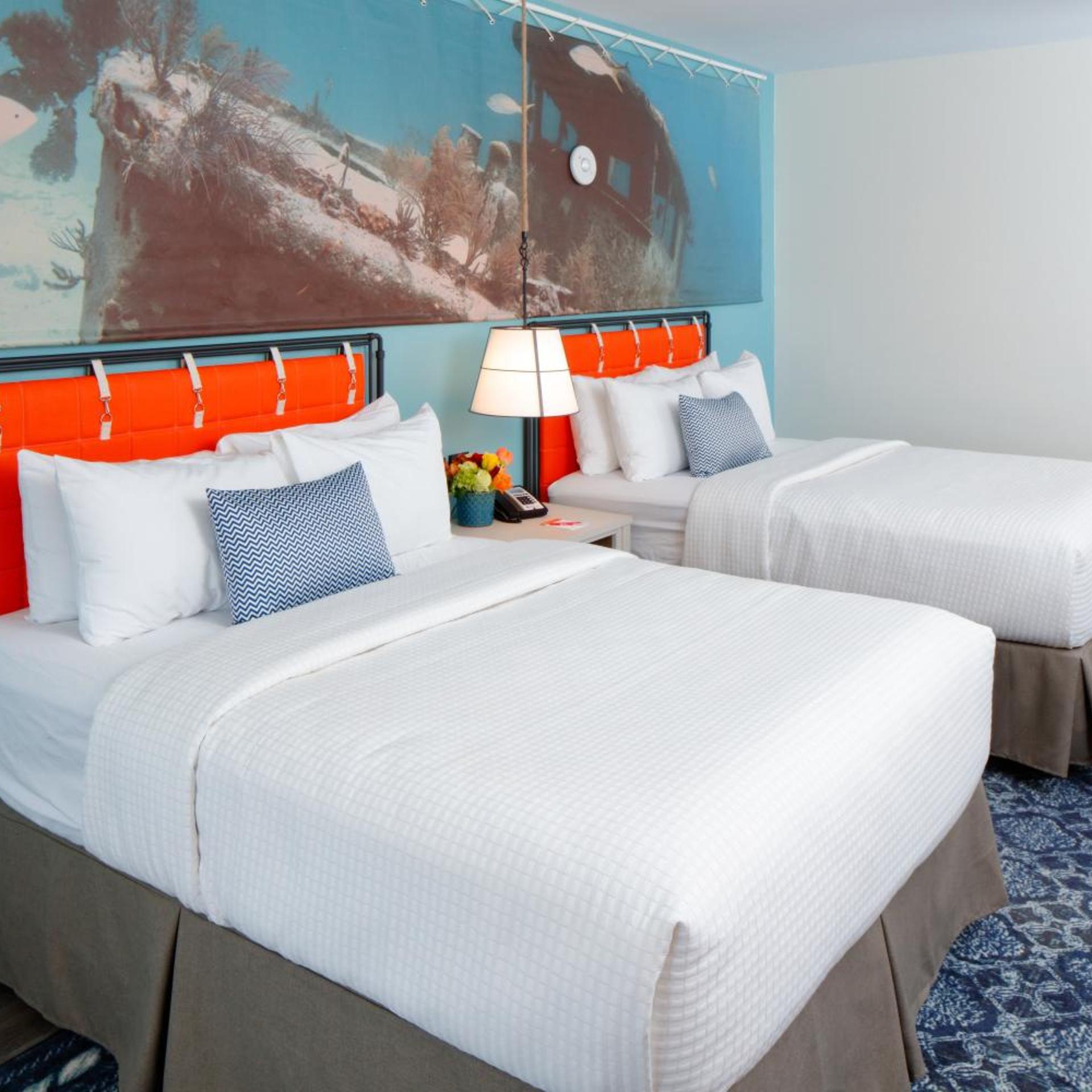Room, Queen Bed, Accessible