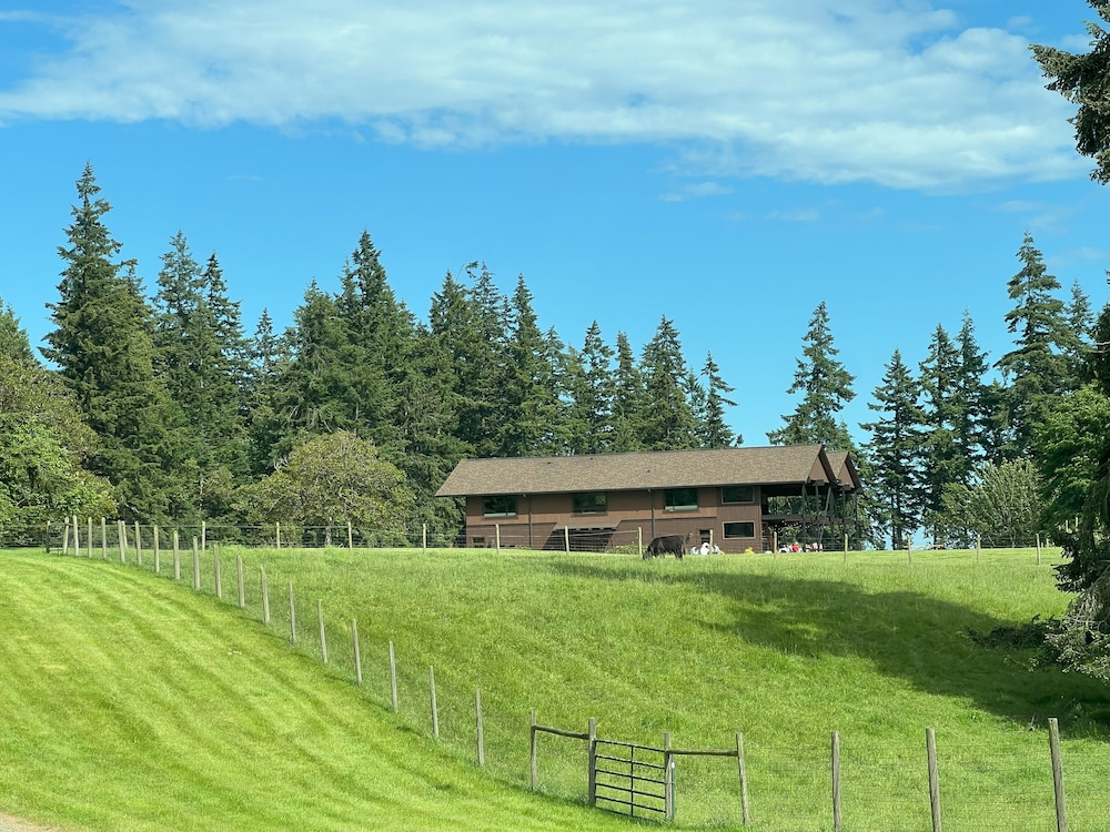 Comforts of Whidbey 31/34