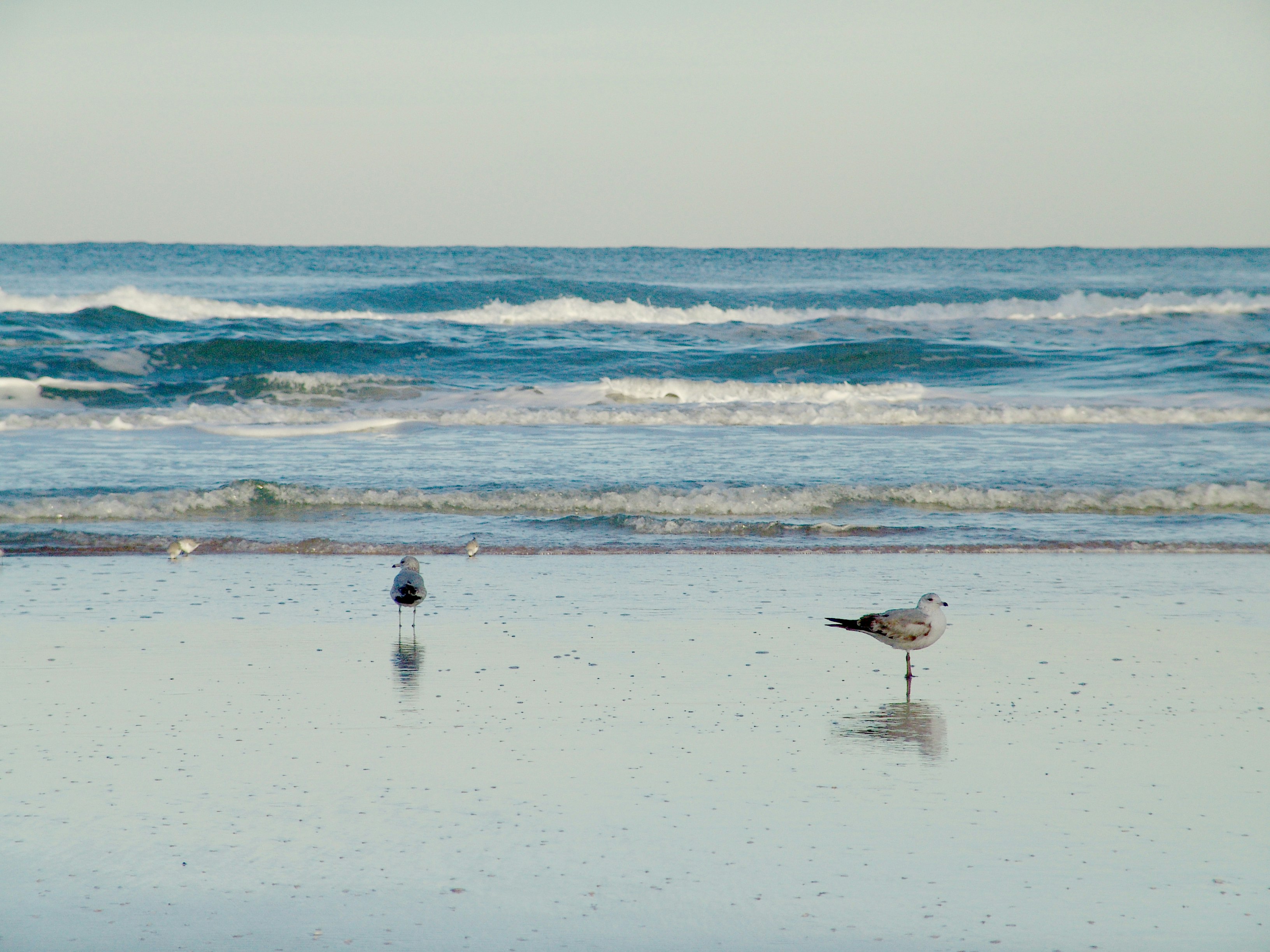Hampton Inn Daytona Beach Shores 42/45