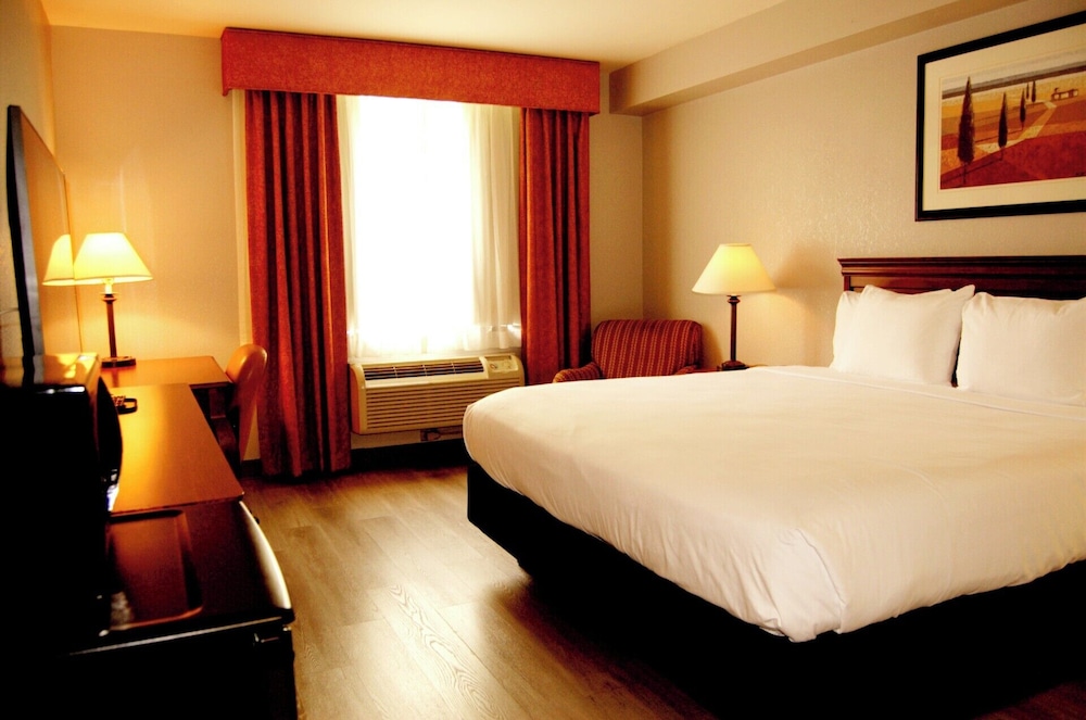Standard, King Bed