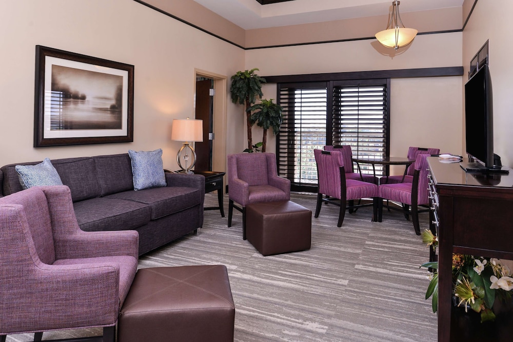 Hilton Garden Inn Jacksonville Downtown Southbank 32/60