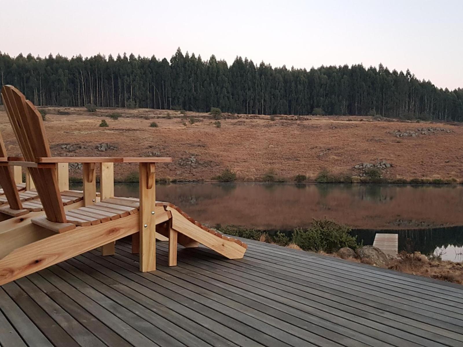 Star Dam Estate 6/26