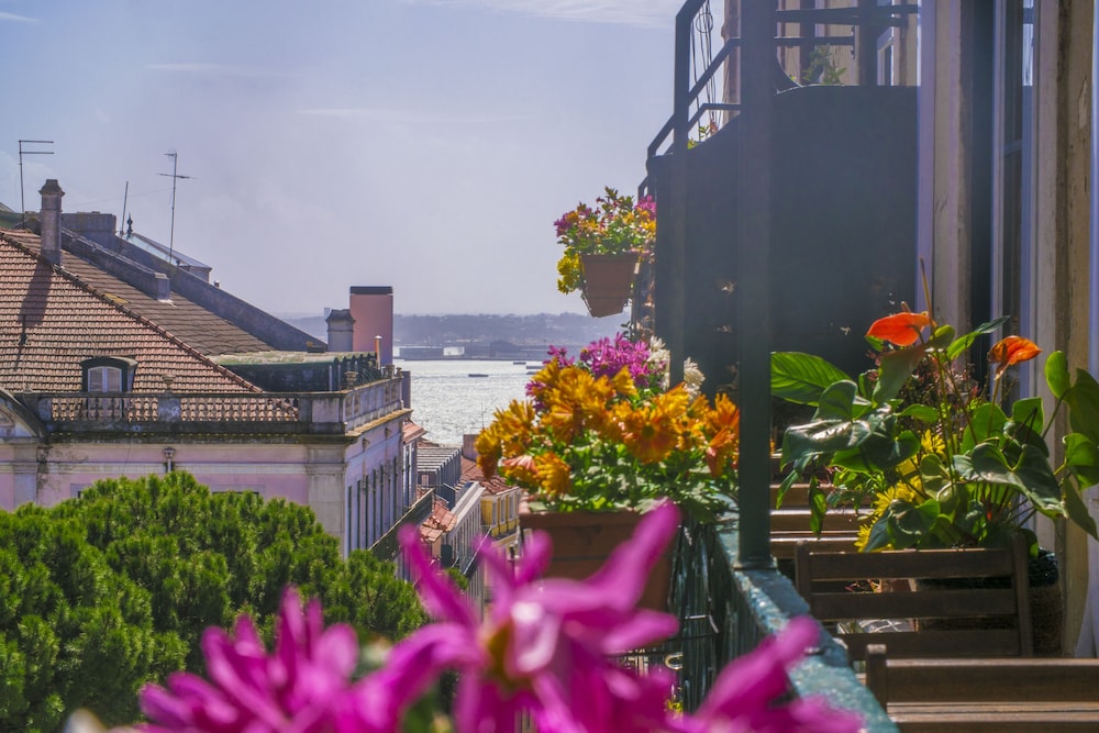 Casinha das Flores 3/50