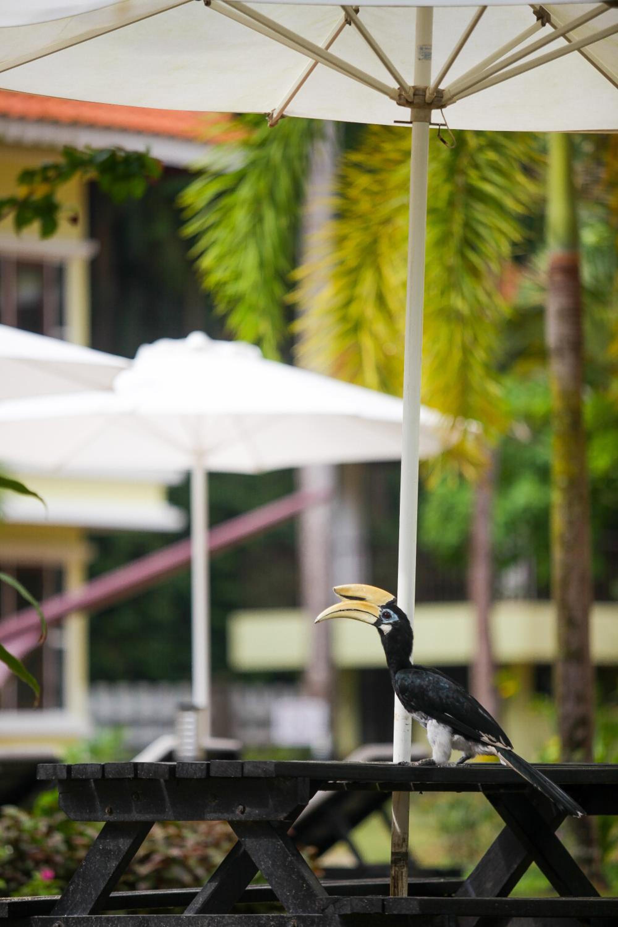 Anjungan Beach Resort 25/44