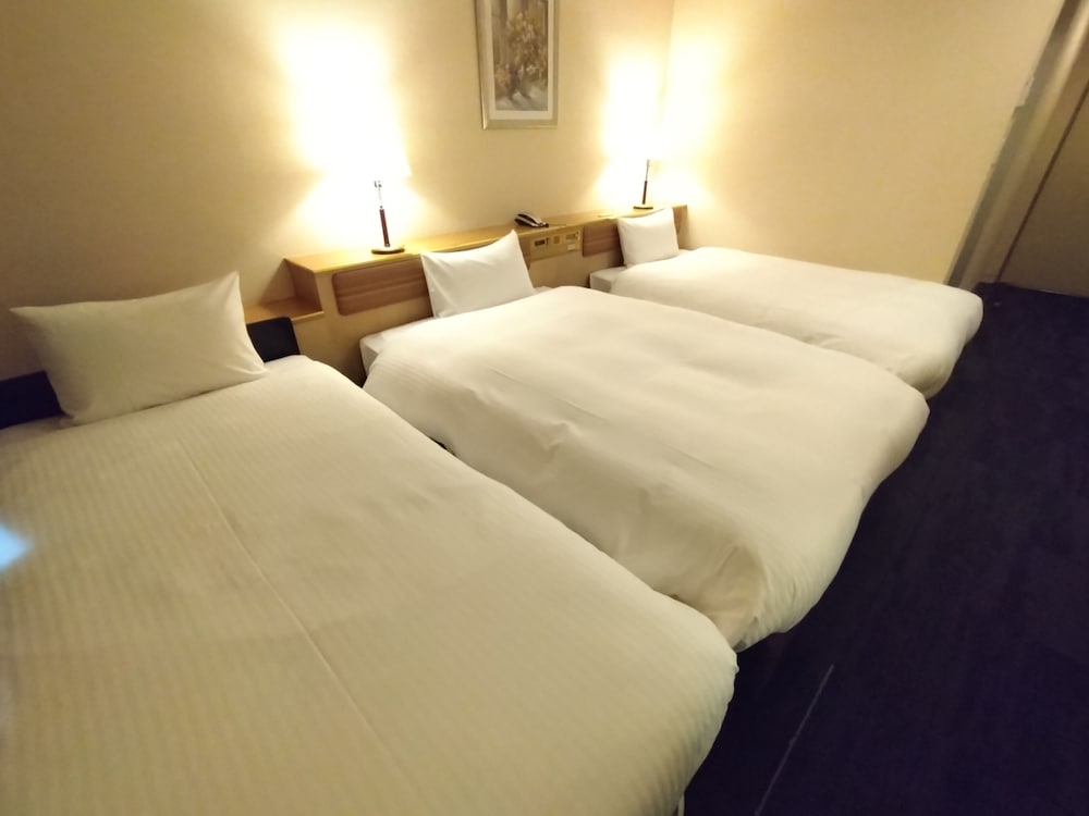 Asakusa Central Hotel 23/67