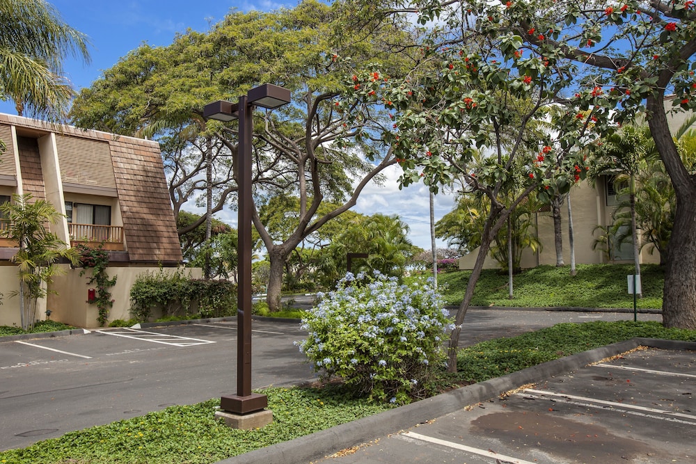 Maui Kamaole - Maui Condo &amp; Home 54/65