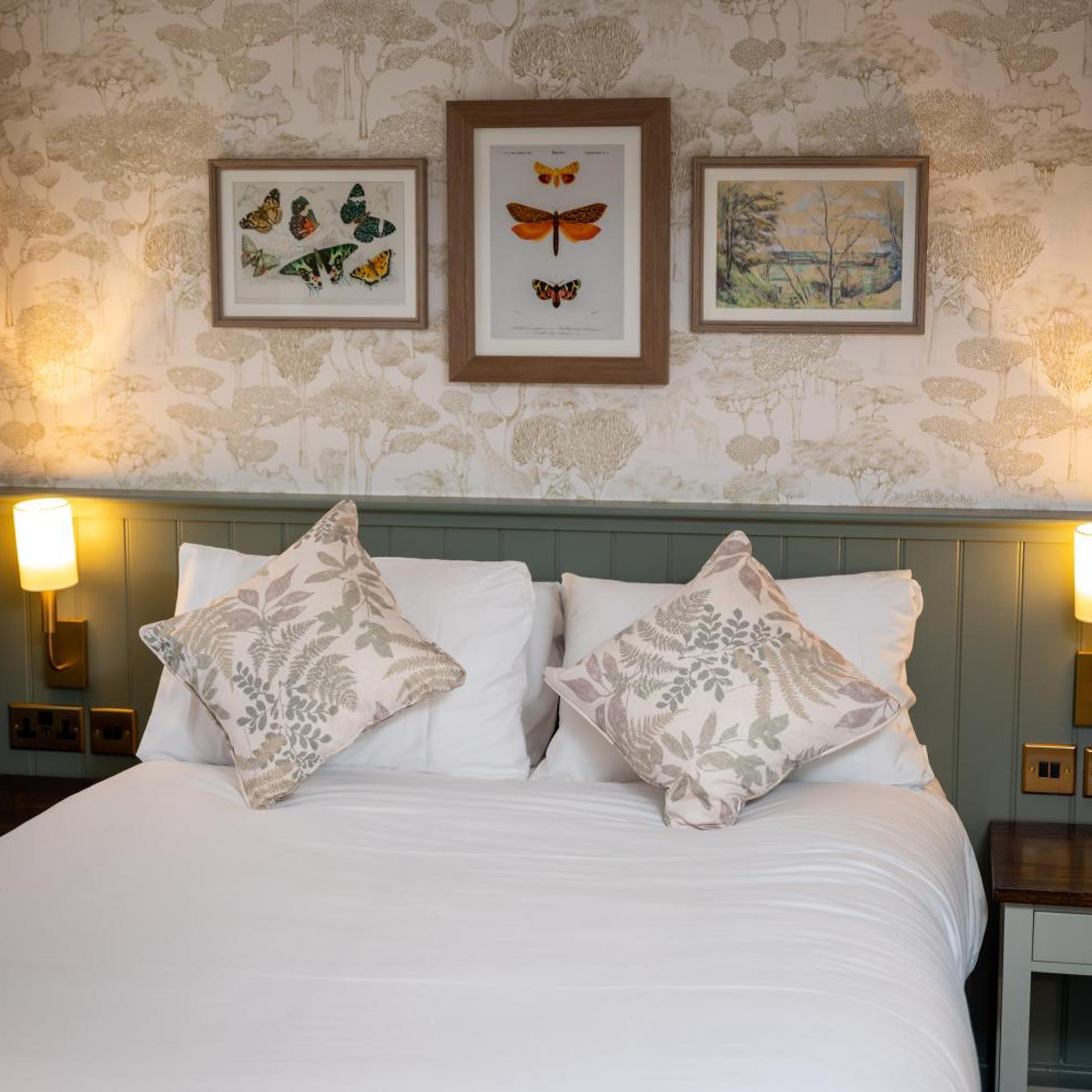 Room, Double Bed