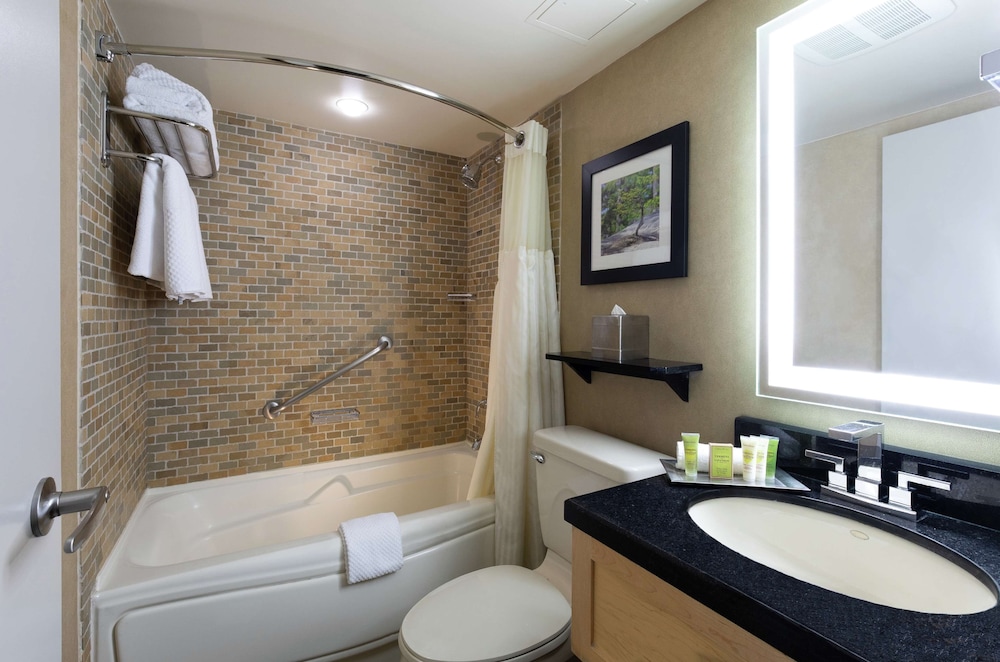 Hilton Whistler Resort & Spa 29/101