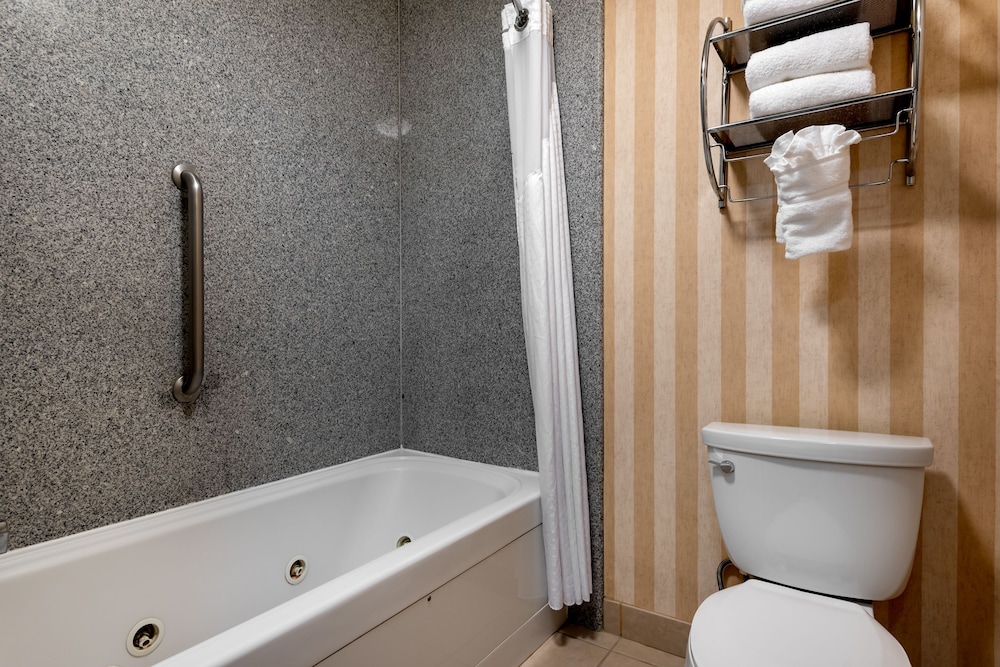 Holiday Inn Express & Suites Lathrop 12/61