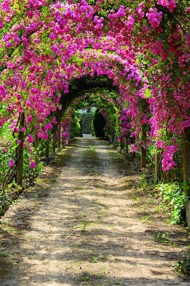 QUINTA DE SAO LOURENCO 27/54
