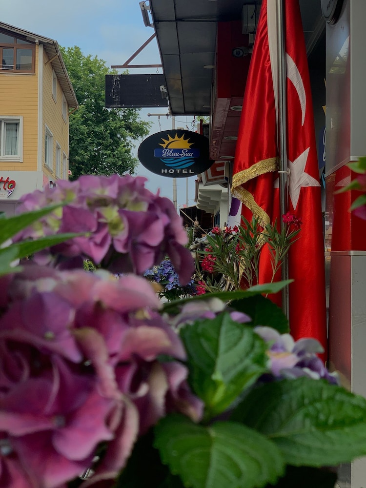 Blue Sea Hotel 43/50