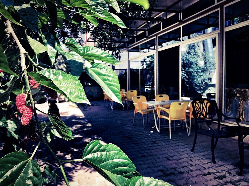 Otel Star Palace Antalya 30/36